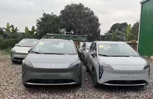 廣州滴滴租車價格表